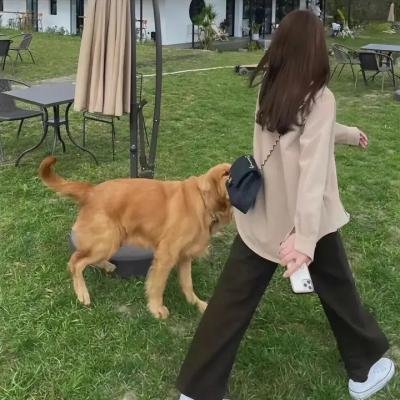 赌城回忆录